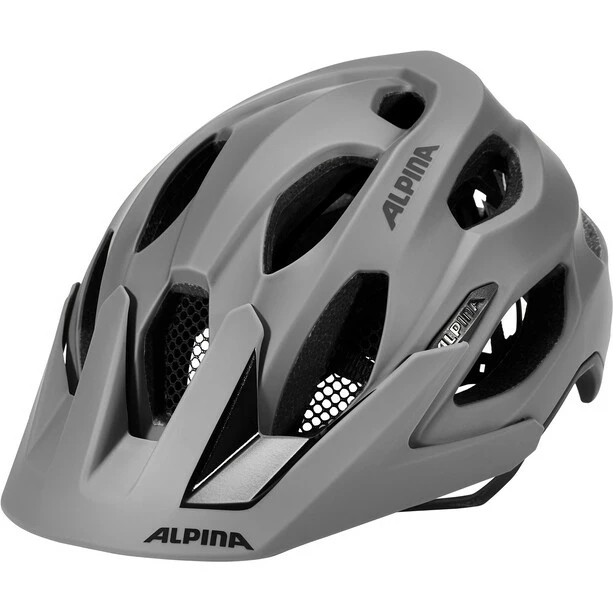 Alpina Carapax 2.0 Helm Grau